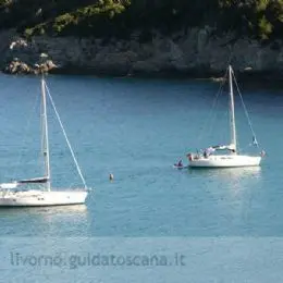 Barcos en Fetovaia