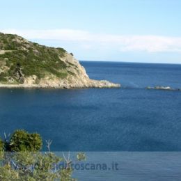 Isola d`Elba Cavoli