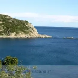 Isola d'Elba Cavoli